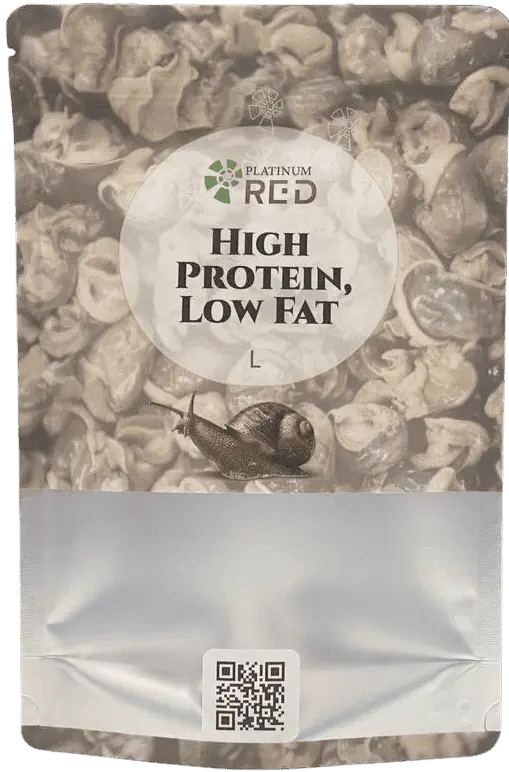 Dried and Flavoured Giant African Snail